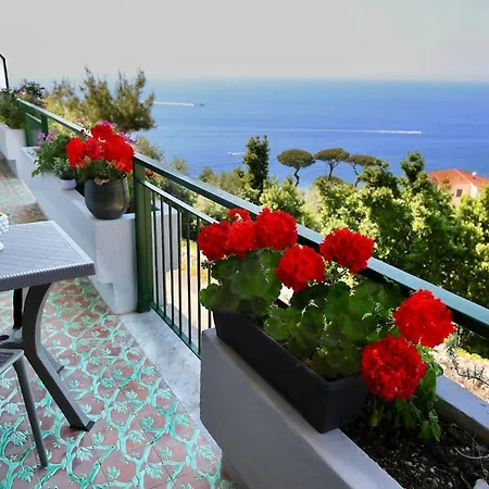 Apartment Vervece House *
